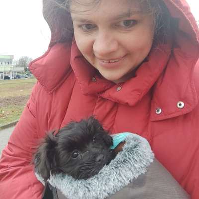 Hundetreffen-Kleine Penny braucht liebe Artgenossen Kontakt-Bild