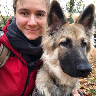 Hundetreffen-Treffen zum “Banking”-Profilbild