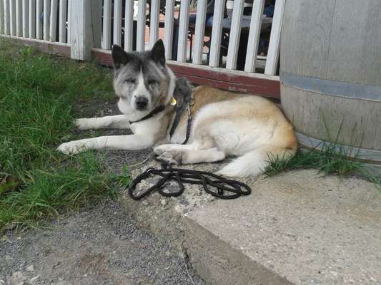 Fotochallenge Nr. 56 - geliebte Senioren-Beitrag-Bild