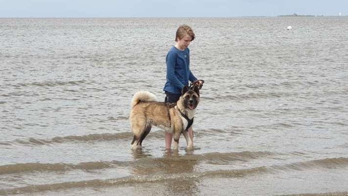 Dogorama-Monats-Challenge-Mai "Wasser"-Beitrag-Bild