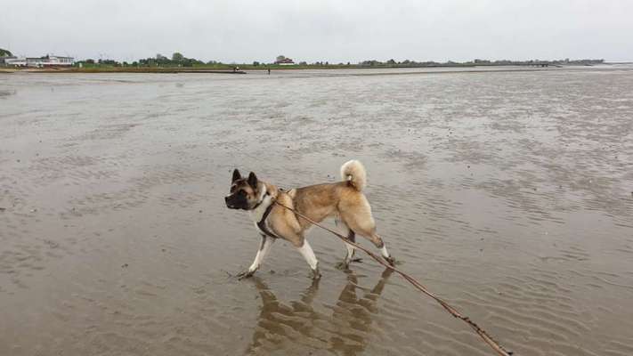 Fotochallenge Nr. 56 - geliebte Senioren-Beitrag-Bild