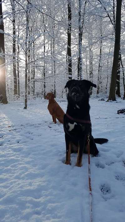 Klischeedenken einiger Menschen-Beitrag-Bild