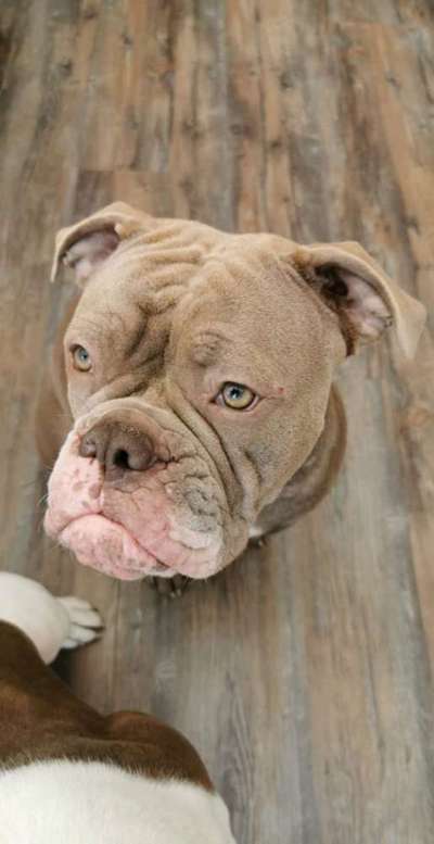 Handy-Foto Challange Nr. 10-Beitrag-Bild