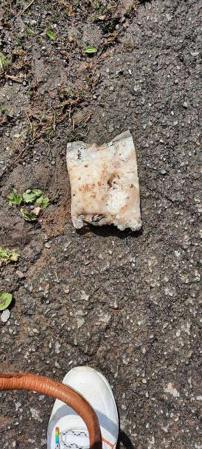 Giftköder-Möglicher Giftköder-Bild