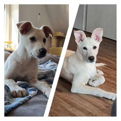 Vorher.... Nachher-Beitrag-Bild