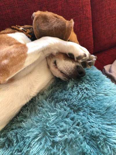 Die unbequemsten und lustigsten Schlafpositionen-Beitrag-Bild