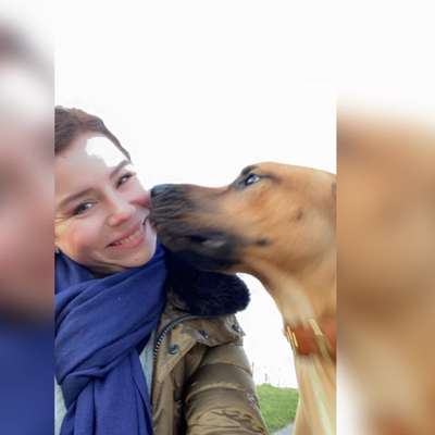 Hundetreffen-Spaß haben mit unseren Hunden-Bild