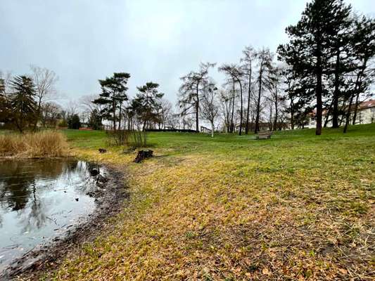 Hundeauslaufgebiet-Alboinpark-Bild