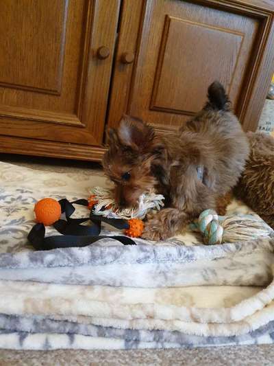 Unser Nachwuchs-Beitrag-Bild