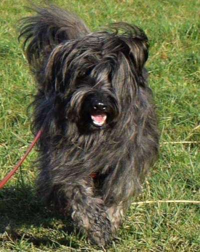 Theos Fotochallenge Nr. 3-Beitrag-Bild