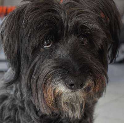 Außergewöhnliche Merkmale-Beitrag-Bild