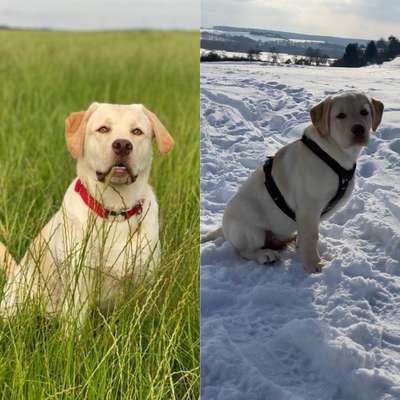 Sie werden so schnell groß!-Beitrag-Bild