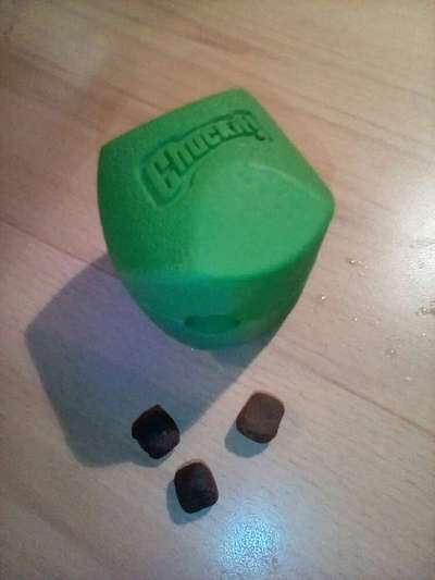 Wir haben probleme mit dem Fressverhalten.-Beitrag-Bild