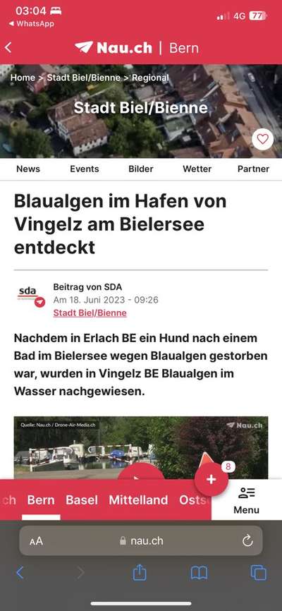 Giftköder-Blaualgen-Bild