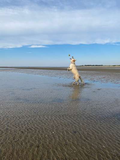 Fotochallenge Nr. 52 „Spring!“-Beitrag-Bild