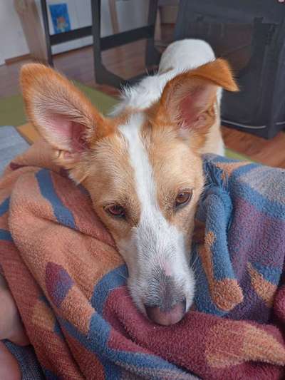 147. Foto Challenge: Bettelblick-Beitrag-Bild