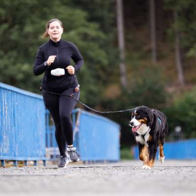 Hundetreffen-Hundesport/ gemeinsames Zughundesport Training-Bild