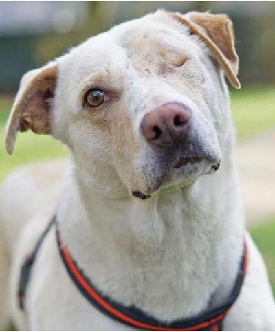 Blick fürs Detail!-Beitrag-Bild