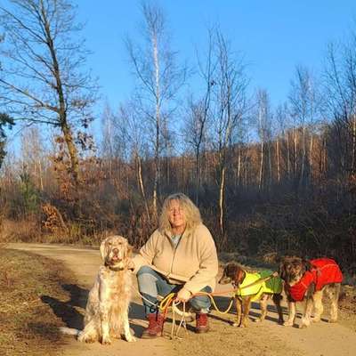 Giftköder-Gassi-Service-Bild