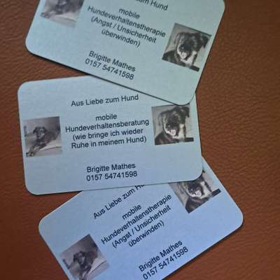 Hundeschulen-Aus Liebe zum Hund-Bild