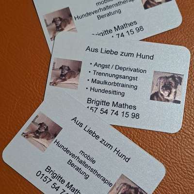 Hundeschulen-Aus Liebe zum Hund-Bild