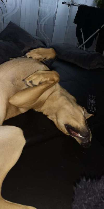 Die unbequemsten und lustigsten Schlafpositionen-Beitrag-Bild