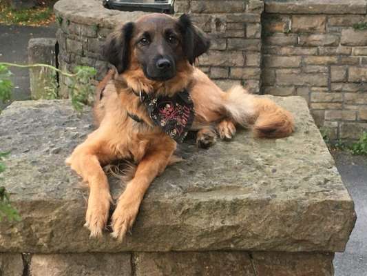 Lieblingsbild :D-Beitrag-Bild