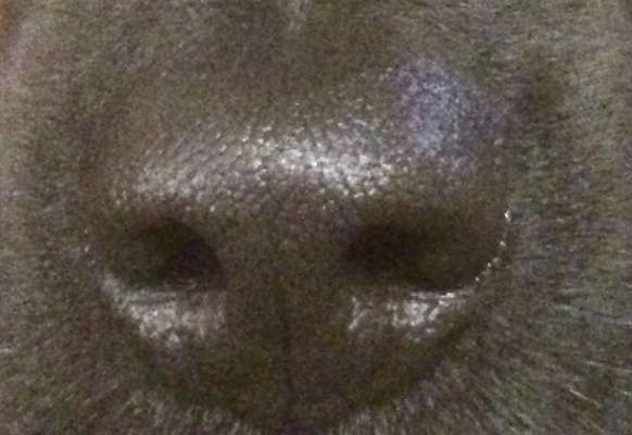 Blick fürs Detail!-Beitrag-Bild