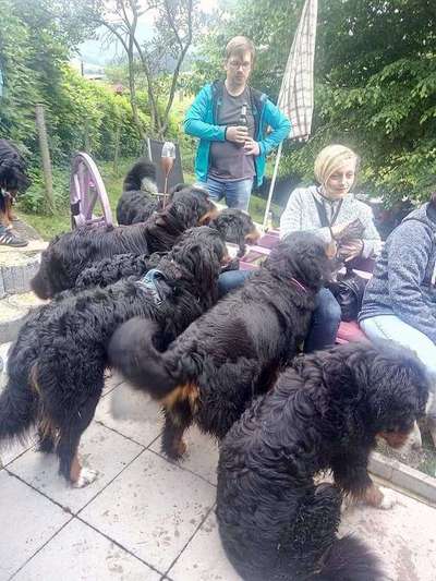 Doppelgänger gesucht !-Beitrag-Bild