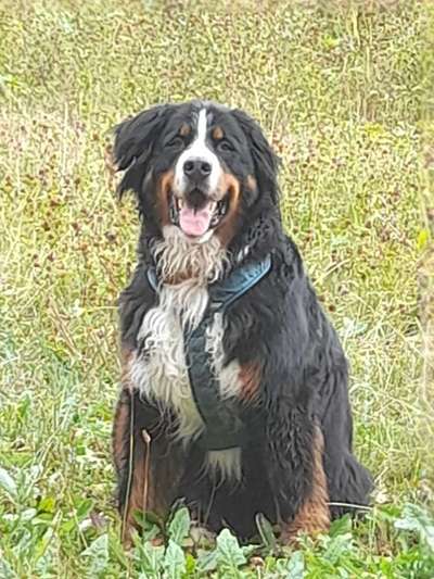 Doppelgänger gesucht !-Beitrag-Bild