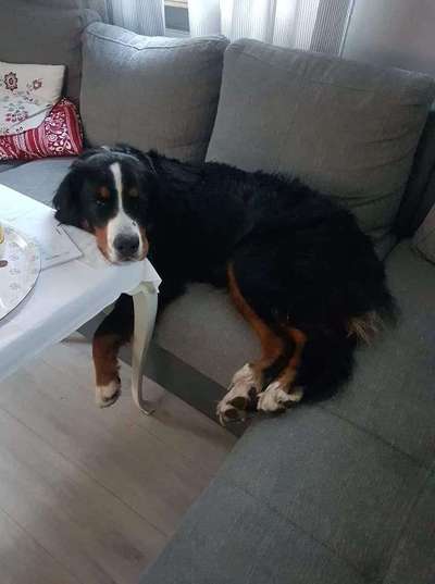 Doppelgänger gesucht !-Beitrag-Bild