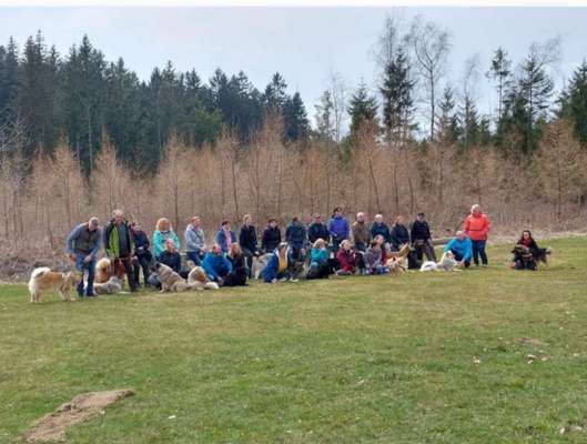 Eurasier hier?-Beitrag-Bild