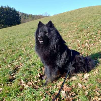 Alexandra's Profilbild