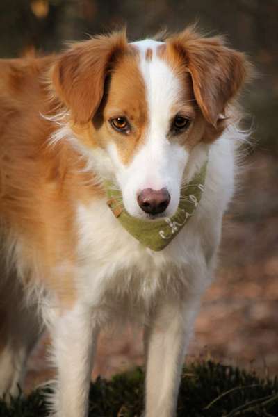 Zeigt eure Portraits-Beitrag-Bild