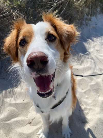 Fotochallange 84-Beitrag-Bild