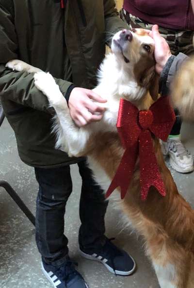 Fotochallange Nummer 5-Beitrag-Bild