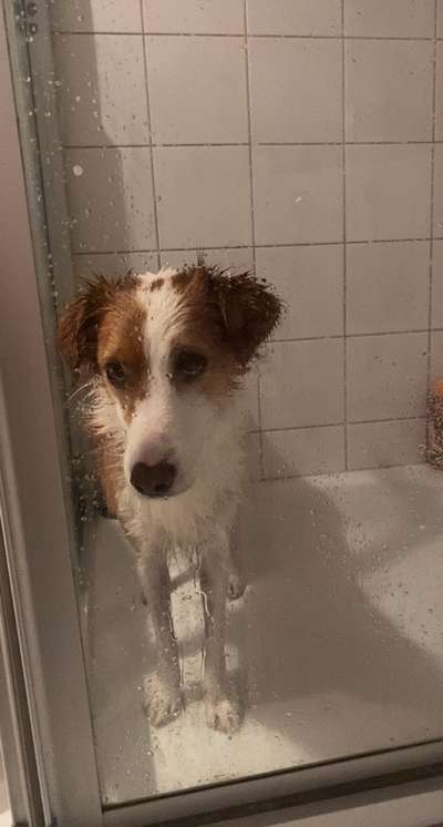 22. Handy Foto - Challenge-Beitrag-Bild