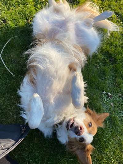 Von oben-Beitrag-Bild