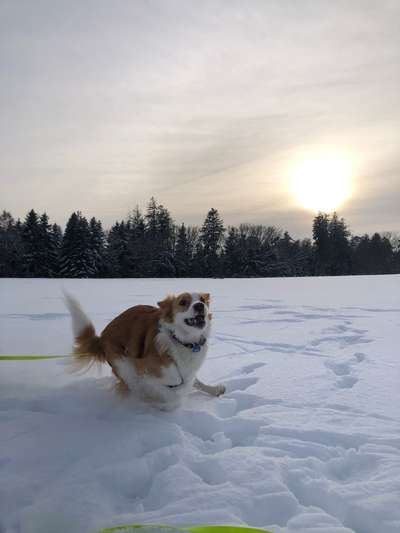 Handy-Foto-Challange Nr.9-Beitrag-Bild