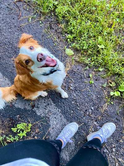 Lieblingsbild-Beitrag-Bild