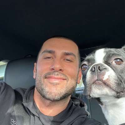 Hundetreffen-Spiel Buddy gesucht-Bild