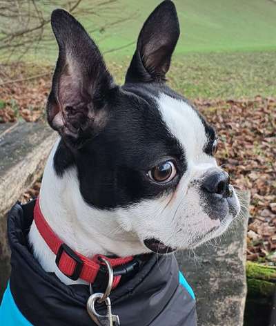 Fotochallange Nr. 57     PORTRÄT.   Beendet!!!!!!!!-Beitrag-Bild