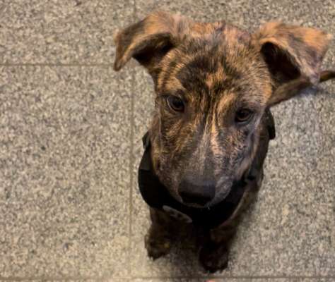 Handy-Foto Challange Nr. 10-Beitrag-Bild