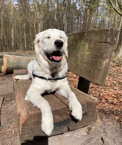 Foto Challenge Nr. 79-Beitrag-Bild