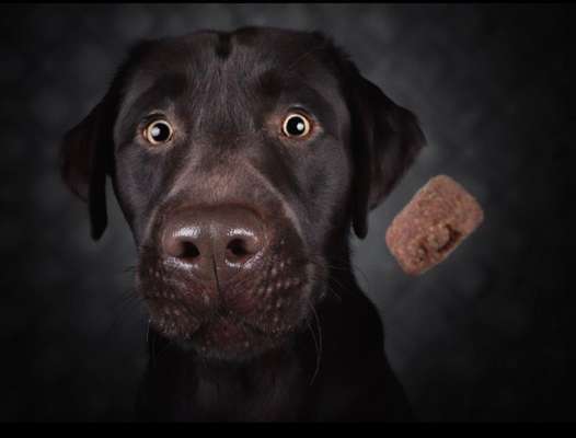 Lieblingsbild-Beitrag-Bild