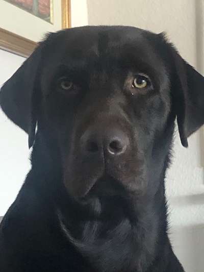 Lieblingsbild-Beitrag-Bild