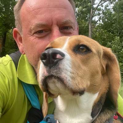 Hundetreffen-Spatziergang
