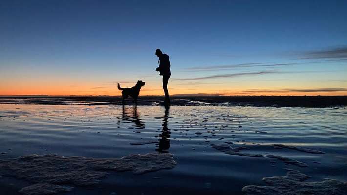 Dogorama Photo Challenge - Tierischer Urlaub-Beitrag-Bild