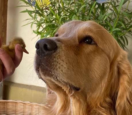 63. Handyfotochallenge   * Nase dran ! *-Beitrag-Bild