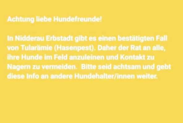 Giftköder-Vorsicht Hasenpest-Bild